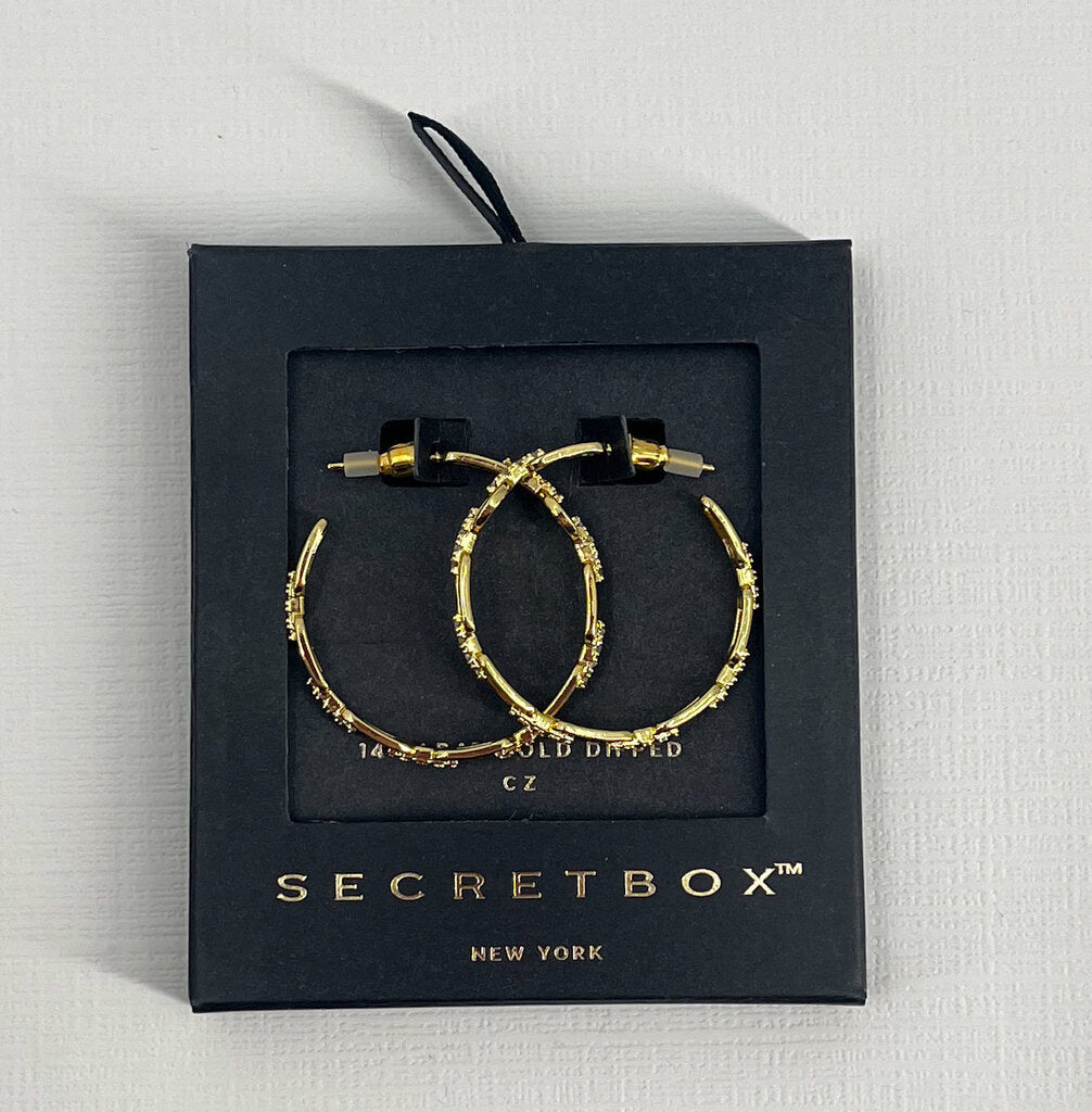 SECRET BOX EARRINGS